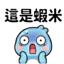 857874004