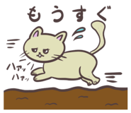 857874496