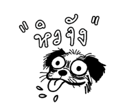 857874502