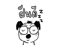 857874505
