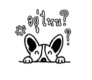 857874506