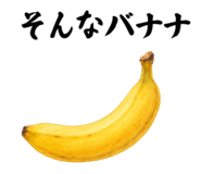 857875570