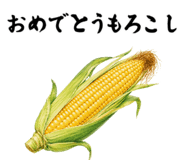 857875575