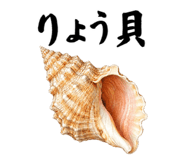 857875582