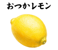 857875587