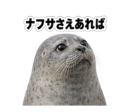 857875990