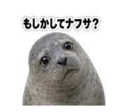 857875991