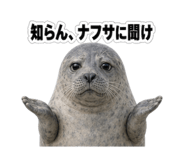857875998
