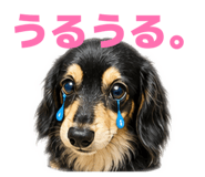 857876149