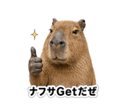 857876266