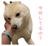 857877153