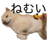 857877154