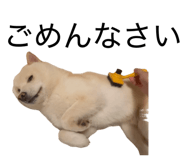 857877157
