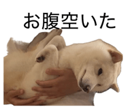 857877159