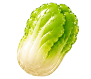 857877655