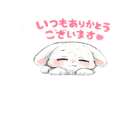 857877707