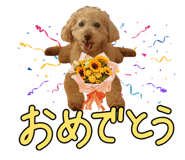 857880957