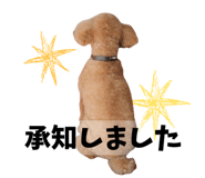 857880963