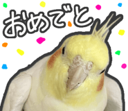 857882106