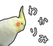 857882107
