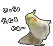 857882110