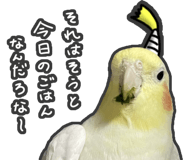 857882119