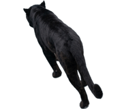 857883758