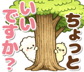 857884511