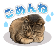 857890571