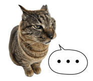 857890579