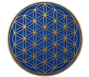 857892026
