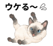 857893473