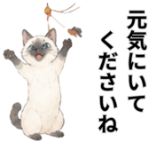 857893483