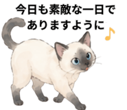 857893484