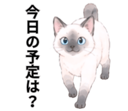 857893498