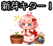 857894619