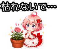 857894622