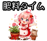 857894625