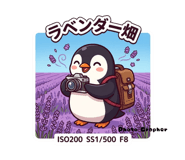857895825