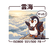 857895842