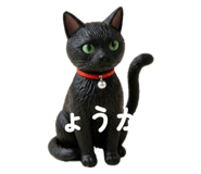 857896091