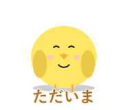 857896555