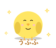 857896559
