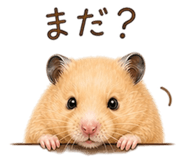 857896916