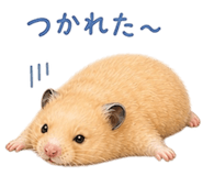 857896923