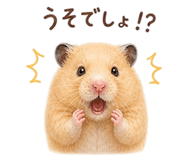 857896925