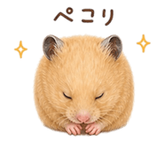 857896928