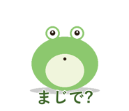 857896981