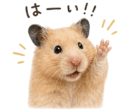 857897378