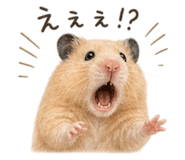 857897383